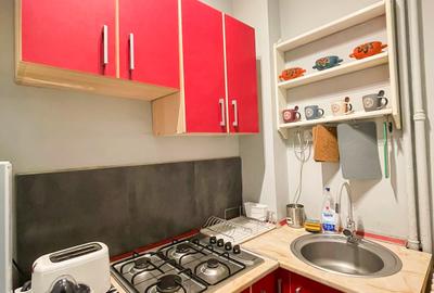Apartament 2 camere in zona Universitatii / Centru Vechi - 15