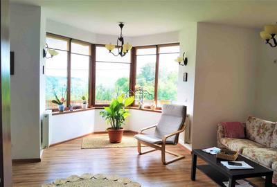 Manuel recomanda : Vila superba in Cornu de Jos 295mp , teren 1360mp - 12