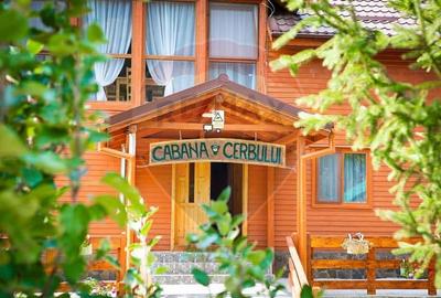 De Vânzare Pensiune Rustica De Vis Pe Ruta Lerești-Voina - 1