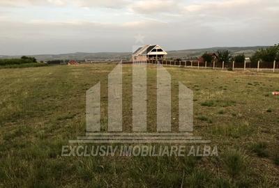 Teren intravilan | De vanzare | 7850 mp | Paclisa - 1