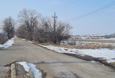 Teren intravilan | rezidential-industrial 12.280mp Balotești – DN1 Value Center - 7