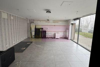 Spatiu Comercial Stradal Șoseaua Colentina zona Teiul Doamnei Suveica - 22