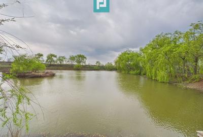 Teren 1 ha cu baltă populată – Alioș (Mașloc) - 1