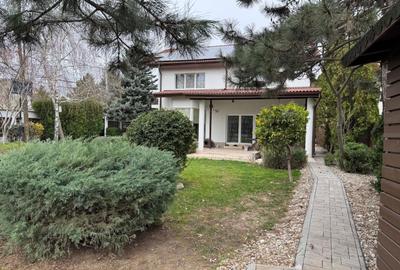 Vila 5 camere cu curte și Grădină - 13