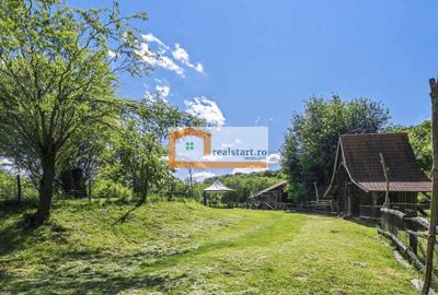 Oportunitate, Restaurant cu MiniPensiune 800mp, 1,8ha teren, Via Transilvanica - 53