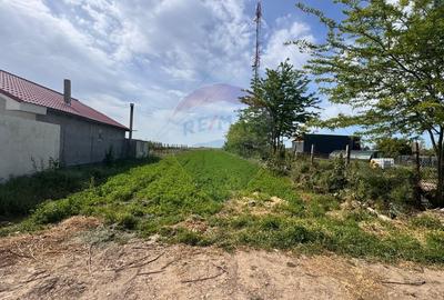 Teren Intravilan de vanzare 800 mp Valea Dacilor Medgidia - 5