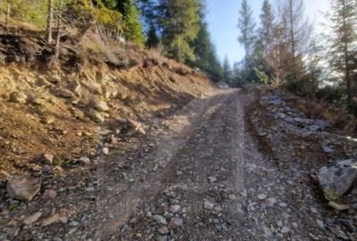 Eco Retreat Land in Apuseni Romania - Poiana Horea - 18