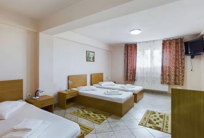Pensiune in Arad (Vladimirescu) pe DN7 - 15
