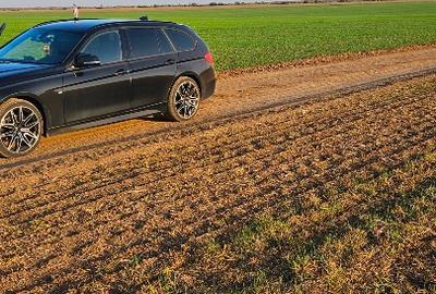 Teren Extravilan GIURGIU 16 Ha (la 50km de București) - 7