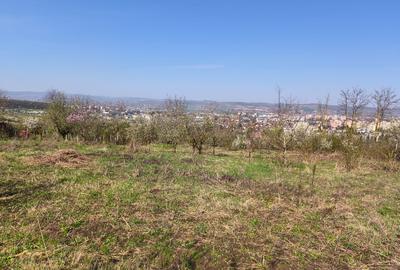 Vand Casa +teren livada 2600m2 - 8