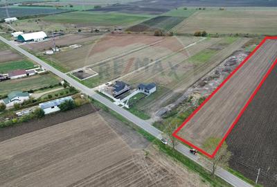 Teren intravilan 10869mp Mircestii Vechi / DJ 204E - 1