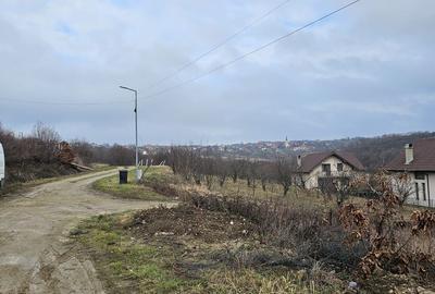Teren construibil cu utilitati Saldabagiu de Munte 900m - 3