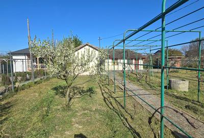 Exclusivitate-Vadu, zona centrala, casa 75mp, teren 1917 mp/31ml deschidere - 32