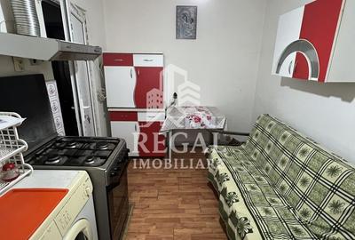 Apartament 1 cameră de închiriat – zona Casa de Cultură - 3