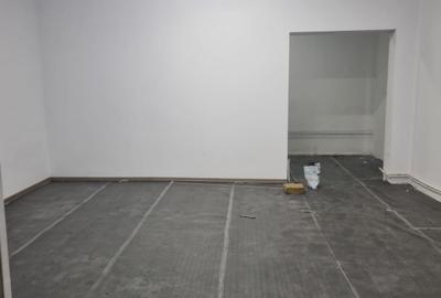 Hale + Atelier Mecanic + Birouri - 4