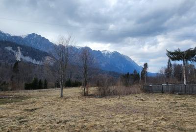 Teren 622 mp  in Sinaia - Zamora, priveliste peisagistică spre Bucegi! - 6