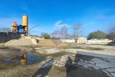 De închiriat platforma betonata 3178 mp teren si șopron, Borșului 47 - 6