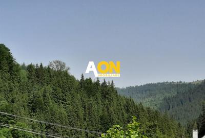 Pensiune in Muntii Apuseni 10 camere 1007 mp teren - 16