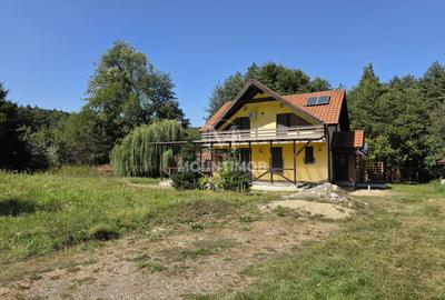 Casa de vacanta in inima padurii, 150 mp/utili, teren 1960 mp, Vulcan - 5
