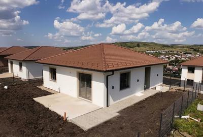 Casă individuală S+P - CHINTENI, Cluj Napoca - 2