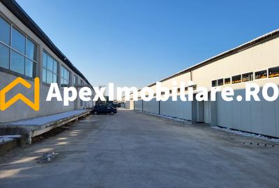 Hala Industriala Xenia – 1800 mp, Acces TIR, Parcare 50 Auto - 8