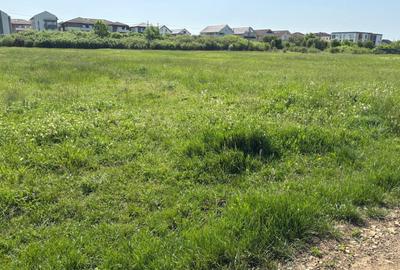 Teren 1239 mp front 29 in Aradul nou - 6