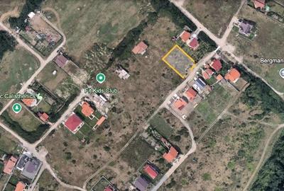 Dumbravita Teren Intravilan 1466mp Front 29m | Langa Padure - 11