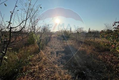 Casă  RENOVATA - Grebanu - 2