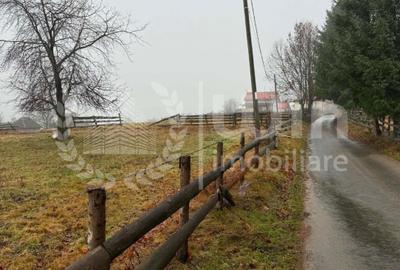 Teren intravilan ideal pentru investitie 1716mp | Front 38m | Marisel - 5
