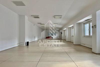 Casa individuală 7 camere de inchiriat , Balcescu-Timisoara - 8