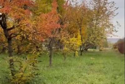 Teren la Strada EUROPEANA , CU TOATE UTILITATILE parcele de case - 2