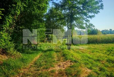 TEREN INTRAVILAN | FRATĂUȚII NOI | 1.1 HA - 6