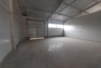 Hale cu suprafete intre 100-560mp in zona Drumul Intre Tarlale - 1