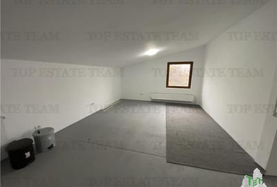 Spatiu comercial, birouri, depozitare de inchiriat in Doamna Ghica - 12
