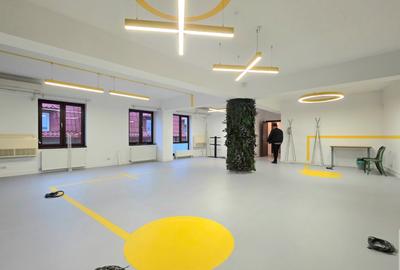 Vila -380mp utili 3 niveluri ideale pentru It/ creatie/ showroom - 9