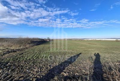 Teren Intravilan de Vânzare – 4300 mp – Cristian, zona Aeroport - 7
