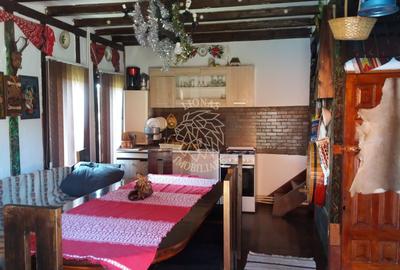 Cabana 4 camere-teren 350 mp-foisor amenajat 25 mp- Baile Figa - 2