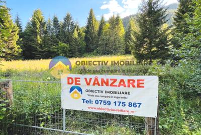 TEREN intravilan  comuna TARCAU - SCHITU - 1