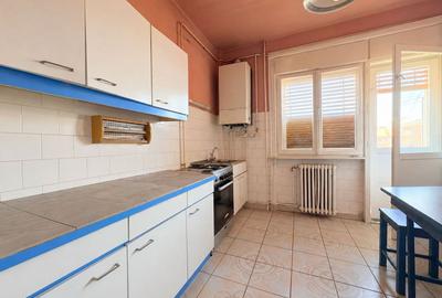 4 camere, suprafata generoasa, vedere panoramica spre raul Timis - 13