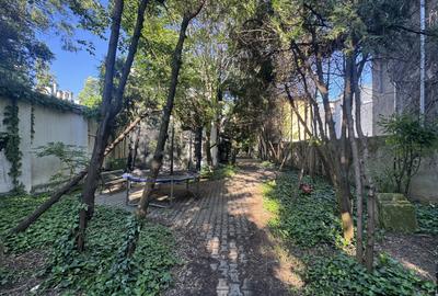 Proprietate unica la Grădina Icoanei - 12