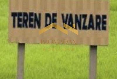 Remetea Mare-Teren Intravilan-Dipsonibil Imediat - 1