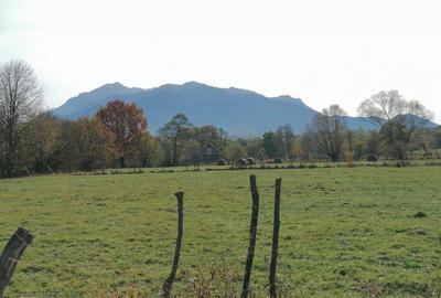 Teren in Sohodol-Bran - 3