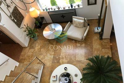 Baneasa- Iancu NIcolae, vila cu 6 camere de vanzare, 400 mp utili - 3