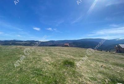 Teren intravilan de 3000 mp cu utiltati si PUZ in Paltinis Judet Sibiu - 4