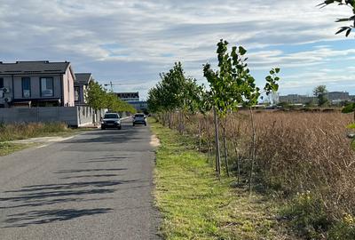 Teren Construcții intravilan de 7290 mp, în Theodor Pallady