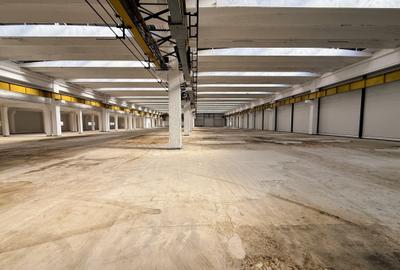 SPATIU INDUSTRIAL,  6857  MP - direct de la proprietar - 18