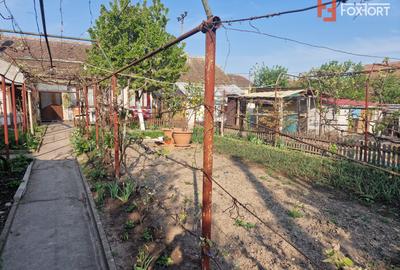 Casa individuala de vanzare cu 4 camere si teren de 800 mp - Recas - 20