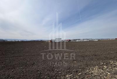 Teren agricol intravilan de 10000 mp, în Exterior Vest
