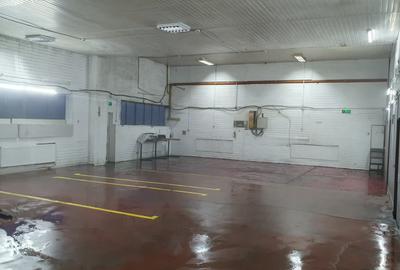 Inchiriez SERVICE AUTO  UTILAT ALEEA FIZICIENILOR CEL MAI BUN PRET - 7