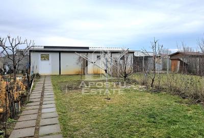 Duplex - Mosnita Noua - 17